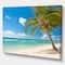 Designart - Palm tree over white sand - Landscapes Sea & Shore Photographic on wrapped Canvas